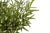 Planta artificiala Bambusa Green 100cm